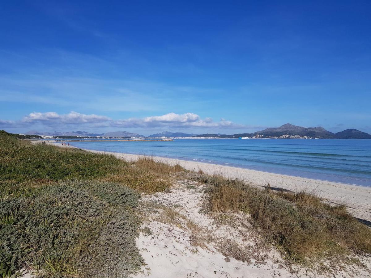 Ideal Property Mallorca - Son Fe *